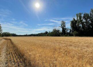 Caro-materie prime, da UniCredit 1 miliardo a supporto delle imprese agricole italiane