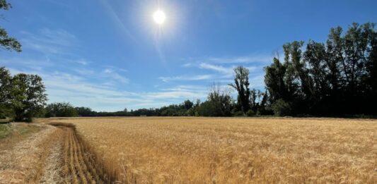 Caro-materie prime, da UniCredit 1 miliardo a supporto delle imprese agricole italiane