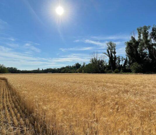 Caro-materie prime, da UniCredit 1 miliardo a supporto delle imprese agricole italiane