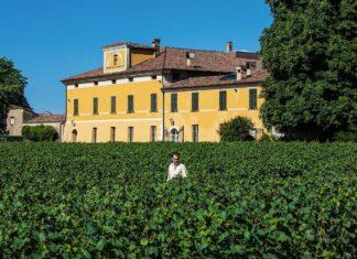 IL SATEN 2017 di MOSNEL