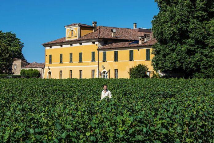 Monsel Franciacorta - W4vdy7H8