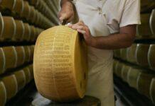 Parmigiano Reggiano: Il Progetto Editoriale “Scaglie” raggiunge oltre 10 milioni di utenti e, dopo due anni, si rinnova