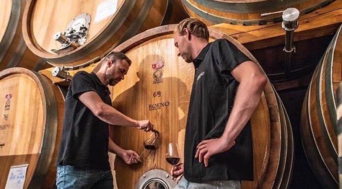 ROENO Interpreta il Riesling