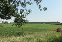 30 milioni di euro a alcune filiere agricole