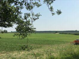 30 milioni di euro a alcune filiere agricole