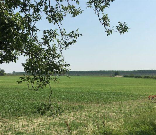 30 milioni di euro a alcune filiere agricole