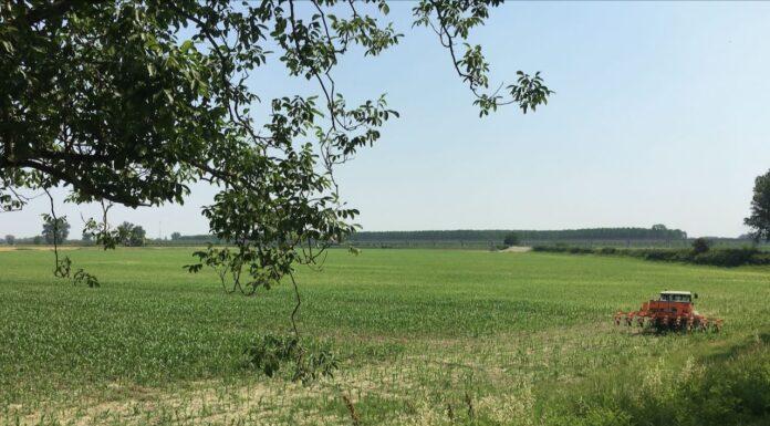 30 milioni di euro a alcune filiere agricole