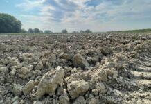 Agricoltura, Gagnarli (M5S): ecco le istruzioni per il V bando sui contratti di filiera e di distretto