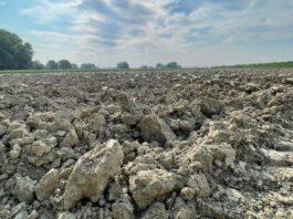 Agricoltura, Gagnarli (M5S): ecco le istruzioni per il V bando sui contratti di filiera e di distretto