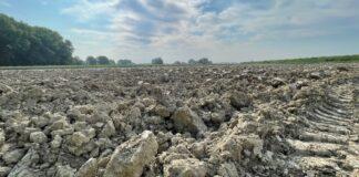 Agricoltura, Gagnarli (M5S): ecco le istruzioni per il V bando sui contratti di filiera e di distretto