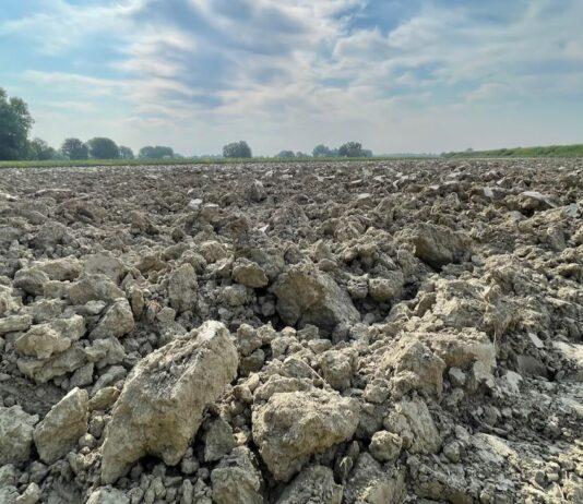 Agricoltura, Gagnarli (M5S): ecco le istruzioni per il V bando sui contratti di filiera e di distretto