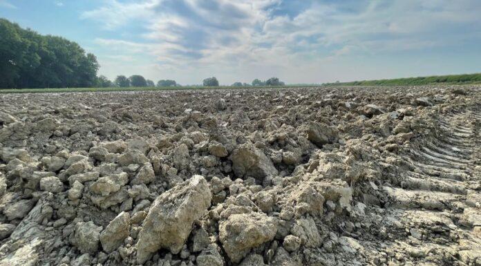 Agricoltura, Gagnarli (M5S): ecco le istruzioni per il V bando sui contratti di filiera e di distretto