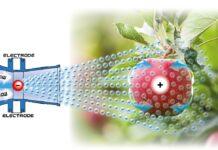 Ventis: aggiornato il sistema elettrostatico ES per i performanti nebulizzatori di casa Nobili SpA.