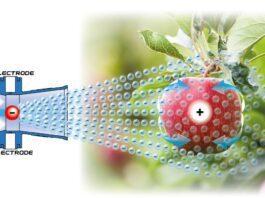 Ventis: aggiornato il sistema elettrostatico ES per i performanti nebulizzatori di casa Nobili SpA.