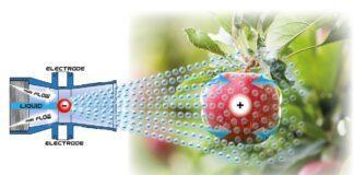 Ventis: aggiornato il sistema elettrostatico ES per i performanti nebulizzatori di casa Nobili SpA.