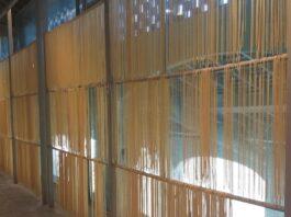 Alla scoperta della pasta e non solo.