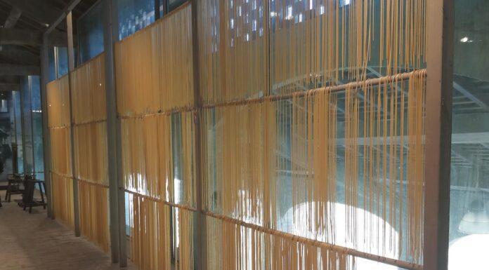 Alla scoperta della pasta e non solo.