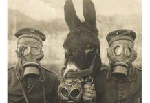 Biden, dalla ricerca di un pretesto per scendere in guerra al rischio di impeachment