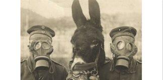 Biden, dalla ricerca di un pretesto per scendere in guerra al rischio di impeachment