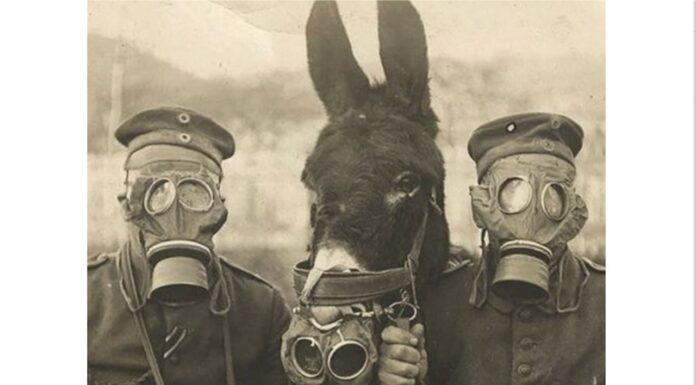 Biden, dalla ricerca di un pretesto per scendere in guerra al rischio di impeachment