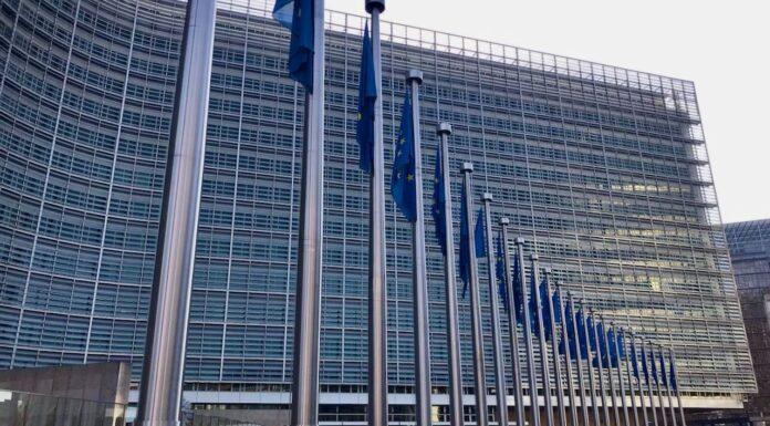 “Dentro la Costituzione” – Il percorso di adesione all’Unione Europea