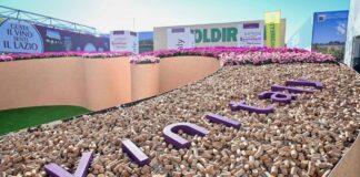 Conto alla rovescia per l’edizione 2024 di Vinitaly