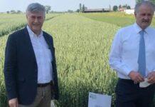 Demo Frumento 2022 il 26 Maggio a Roncole