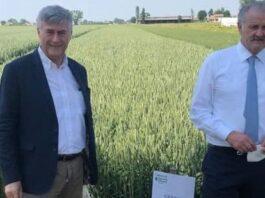 Demo Frumento 2022 il 26 Maggio a Roncole