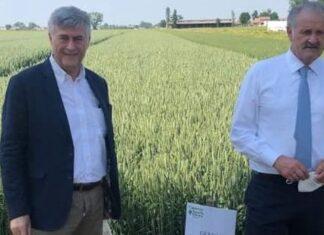 Demo Frumento 2022 il 26 Maggio a Roncole