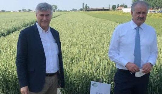 Demo Frumento 2022 il 26 Maggio a Roncole