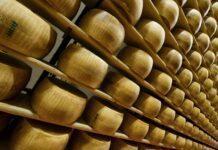 CIBUS: Il Consorzio Parmigiano Reggiano annuncia i dati positivi del primo trimestre 2022: +3,6% le vendite e +6,9% le esportazioni rispetto al primo trimestre 2021