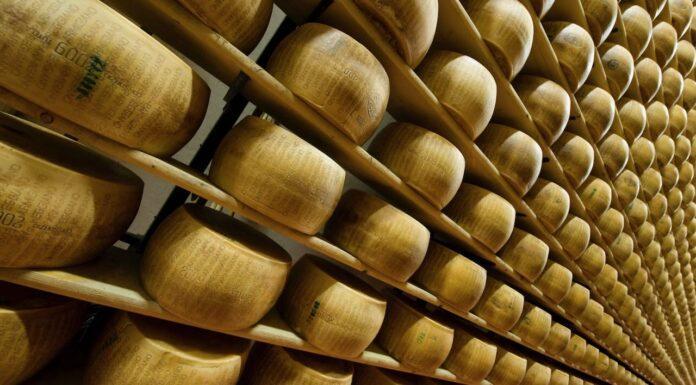 CIBUS: Il Consorzio Parmigiano Reggiano annuncia i dati positivi del primo trimestre 2022: +3,6% le vendite e +6,9% le esportazioni rispetto al primo trimestre 2021