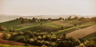 “Terra Emilia”: nelle enoteche di Bologna, i vini Colli Bolognesi