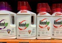 La Corte Suprema degli Stati Uniti infligge un duro colpo all’erbicida Roundup di Bayer