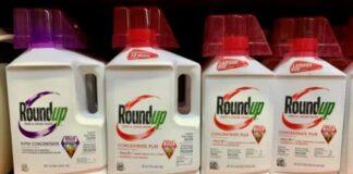 La Corte Suprema degli Stati Uniti infligge un duro colpo all’erbicida Roundup di Bayer