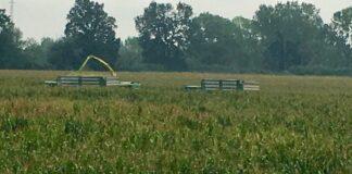 Cereali e dintorni. Mercato temporaneamente in stallo