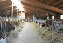 Ripartire dal territorio per la nuova filiera del futuro