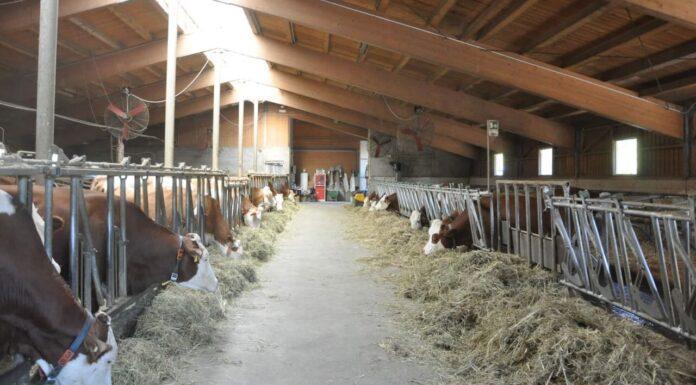 Ripartire dal territorio per la nuova filiera del futuro