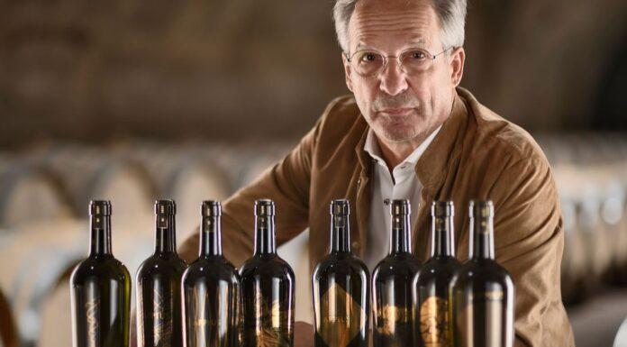 Il ritorno di “Sogni Estivi”.