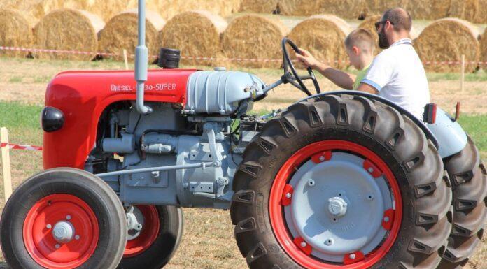 L’Agricoltura verso l’evoluzione assistita