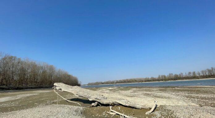 Estate. Tra sole, caldo e siccità.
