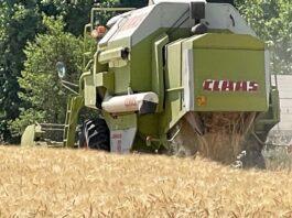 Cereali e dintorni. Analisi dei dati dall’inizio della tempesta
