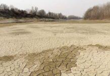 ‘Agricoltura, il tempo è scaduto’: appello di CIA Reggio ai candidati parlamentari