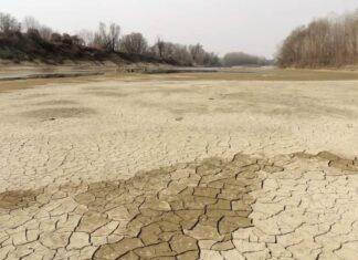‘Agricoltura, il tempo è scaduto’: appello di CIA Reggio ai candidati parlamentari