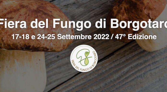 Presto il via alla Fiera del Fungo di Borgotaro (Con video promo).