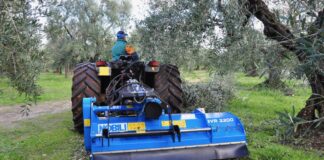 Gamma BV: i triturator per vigneto-frutteto (Video)