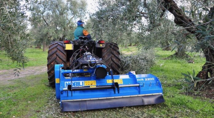 Gli ottimi triturator per vigneto-frutteto di casa Nobili Spa