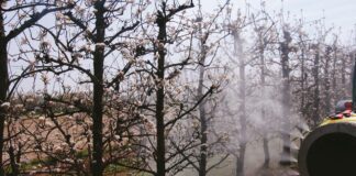 Irroratrice per impianti a spalliera. Il Turboatomizzatore portato ad aspirazione anteriore.