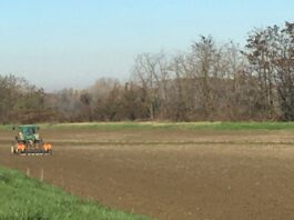 Cereali e dintorni. Navi a picco e cereali alle stelle