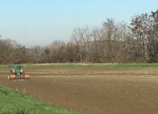 Cereali e dintorni. Grande influenza sui prezzi deriva dal cambio